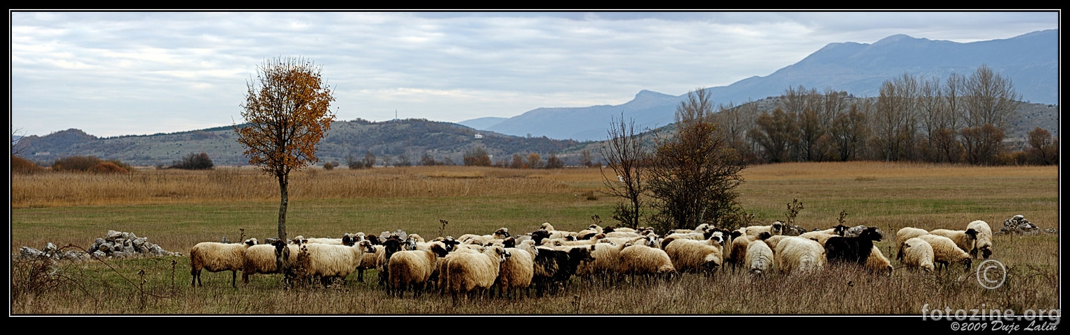 Tresure on the plains