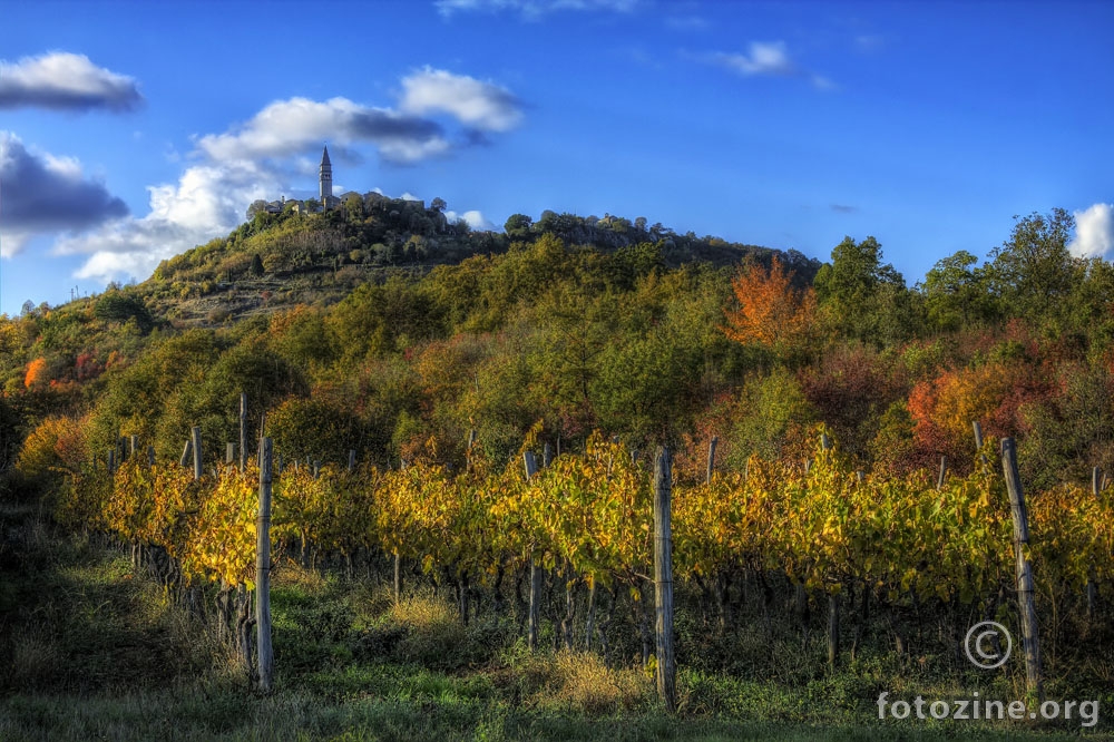 Above the vineyard