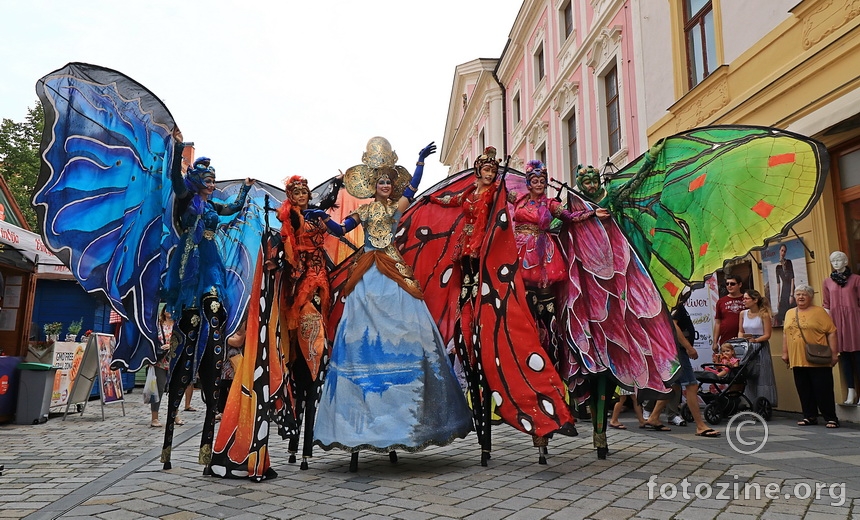 STELZEN Art;Butterfly fairies