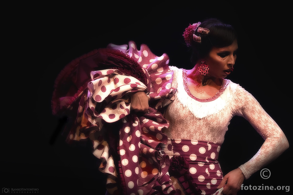 The Flamenco Dancer