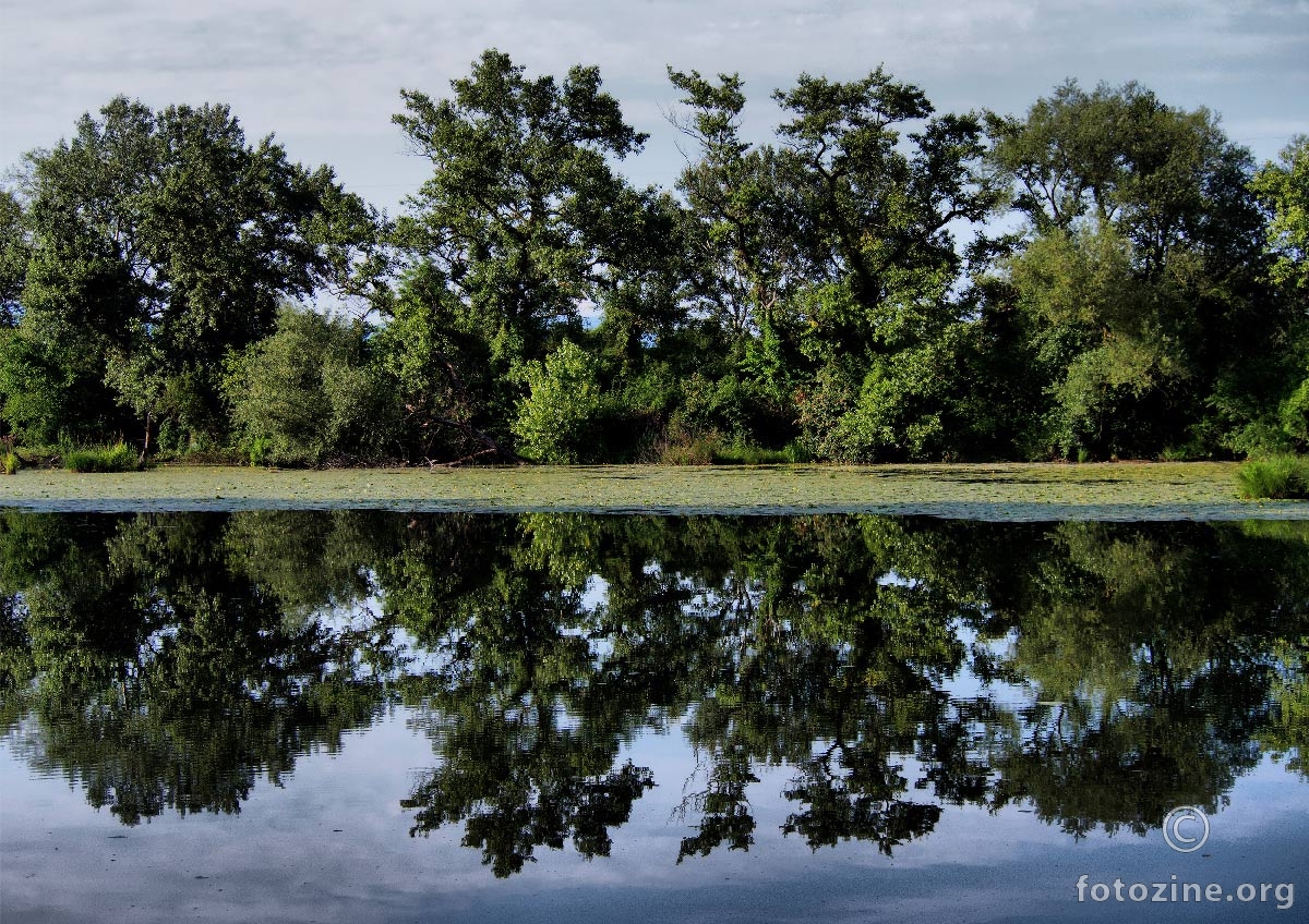 refleksija II