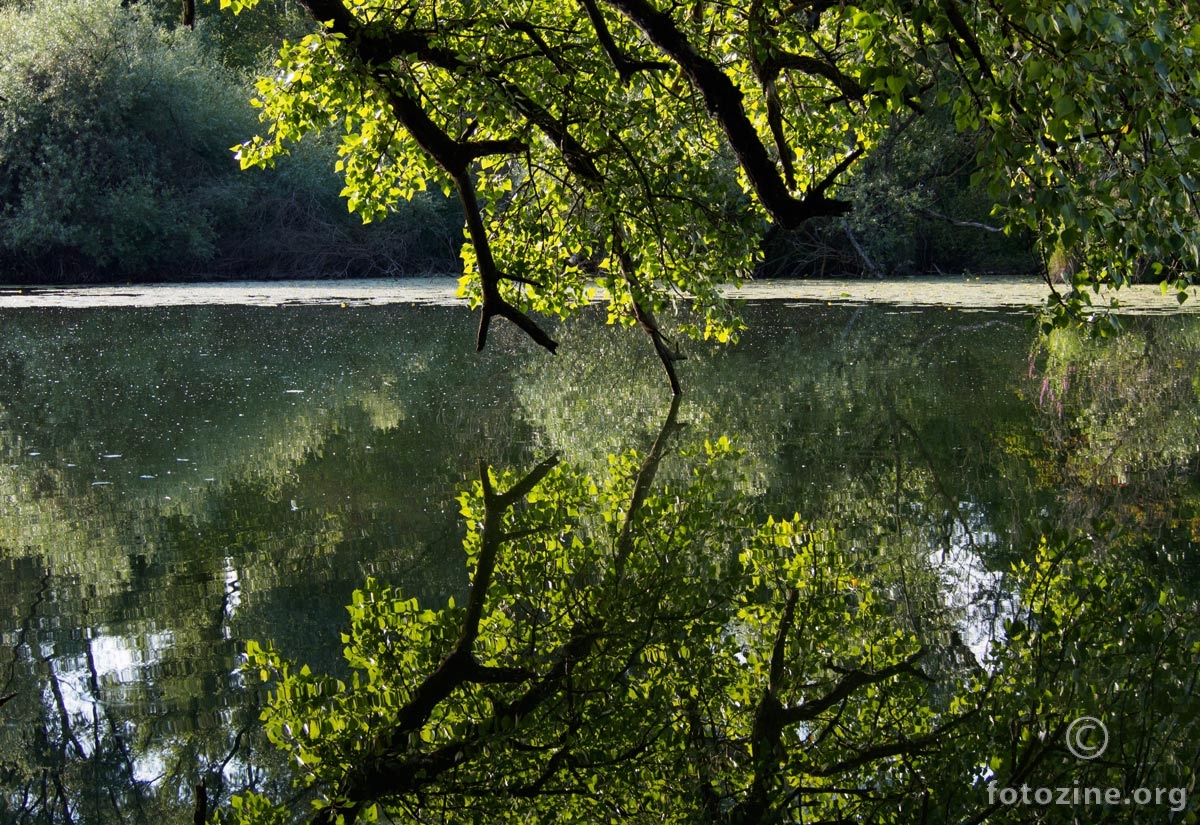 refleksija