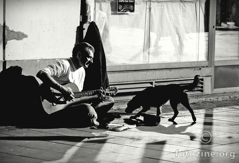 street dog blues