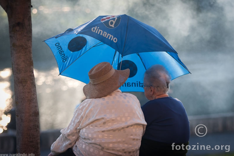 Zaštita Europskog Dinama