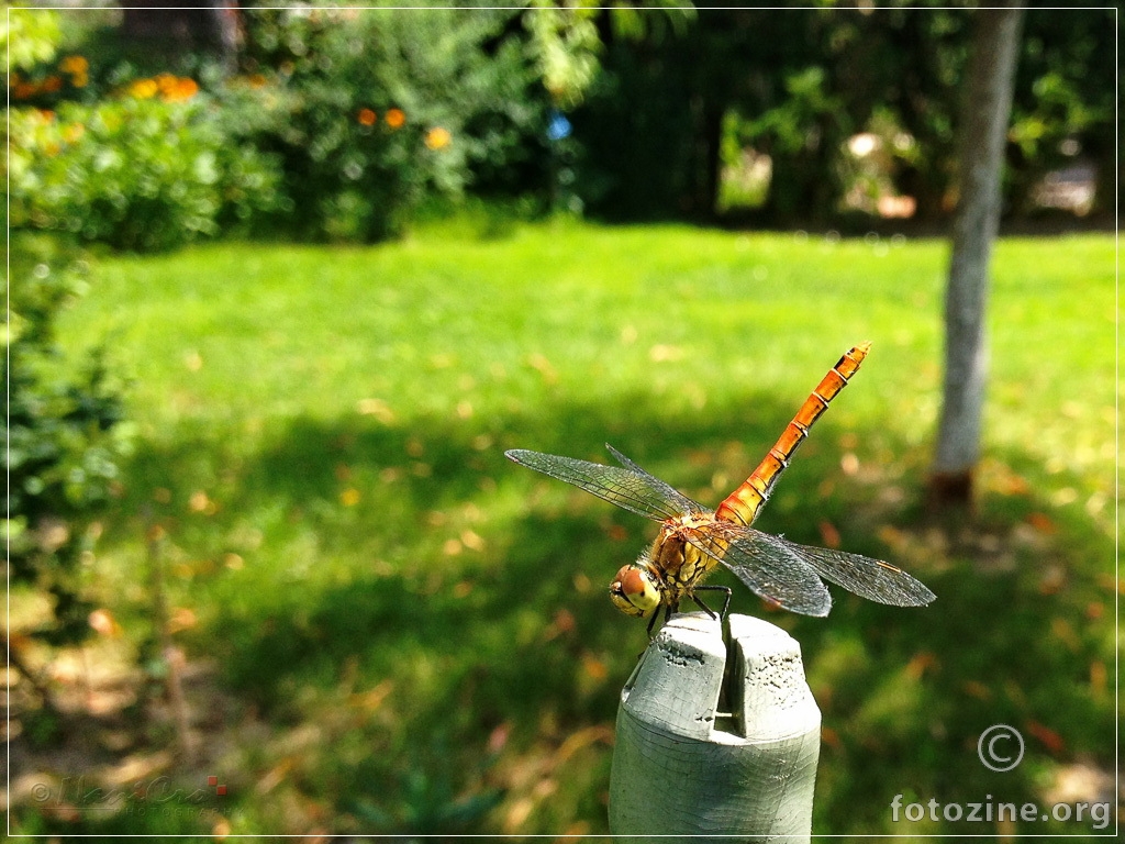 ready to take off