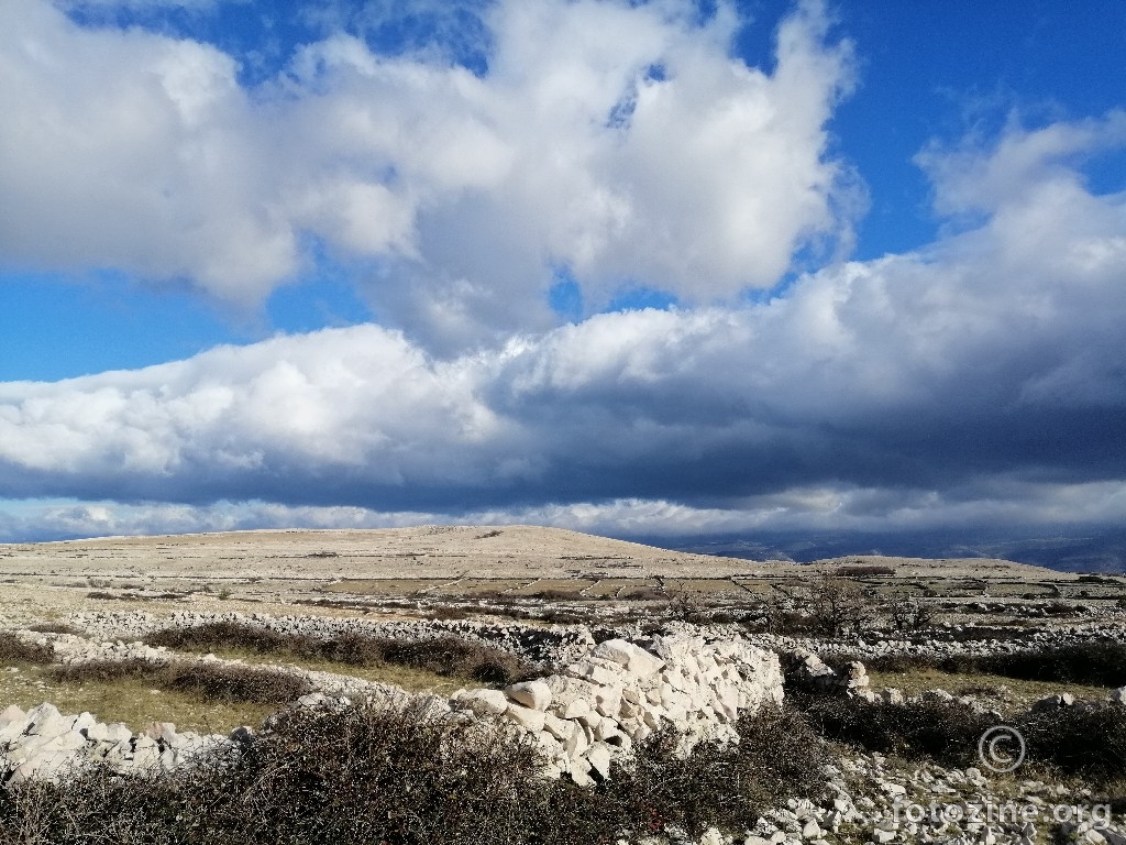 Škura bura