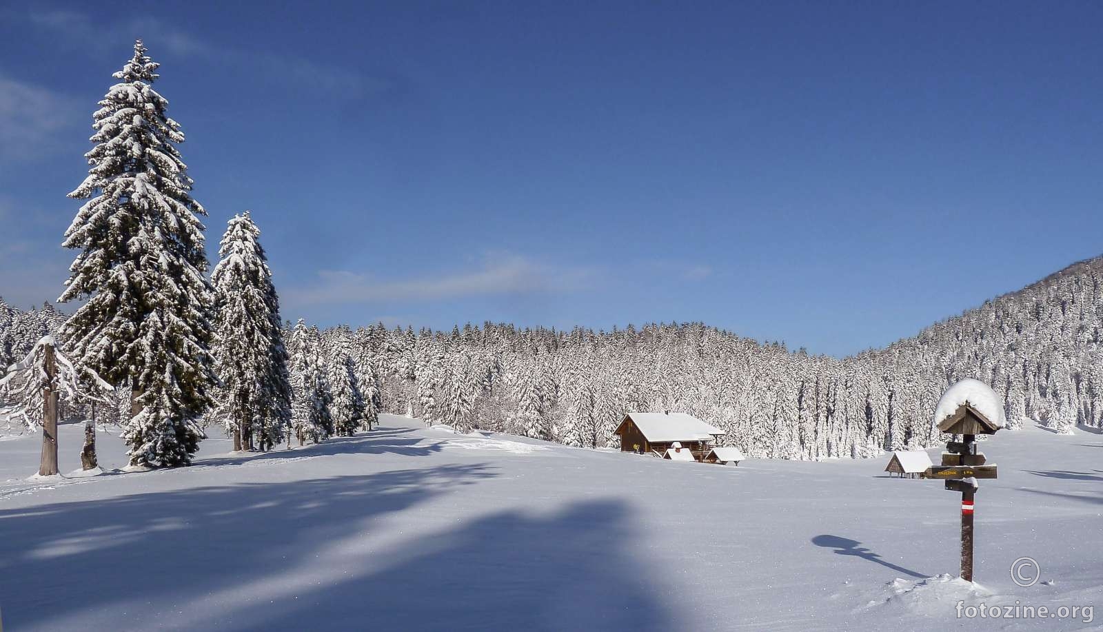 Čuvari Lasca