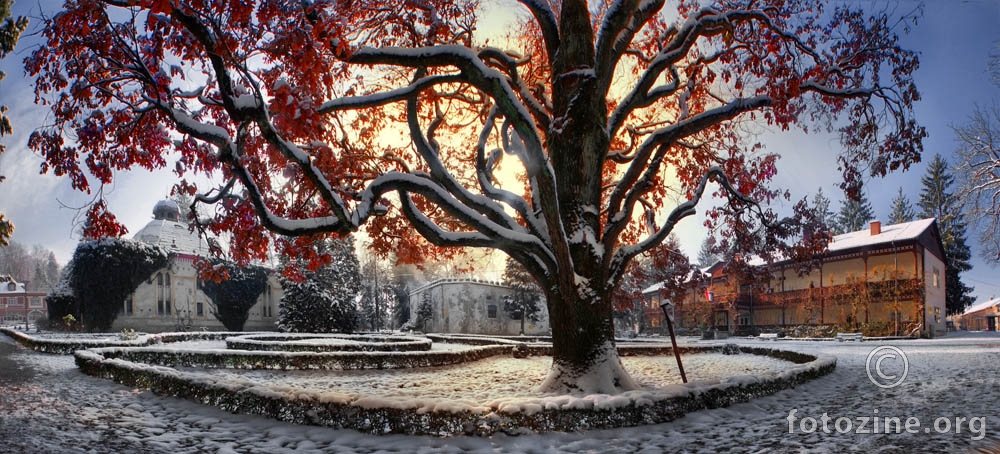 daruvarski park