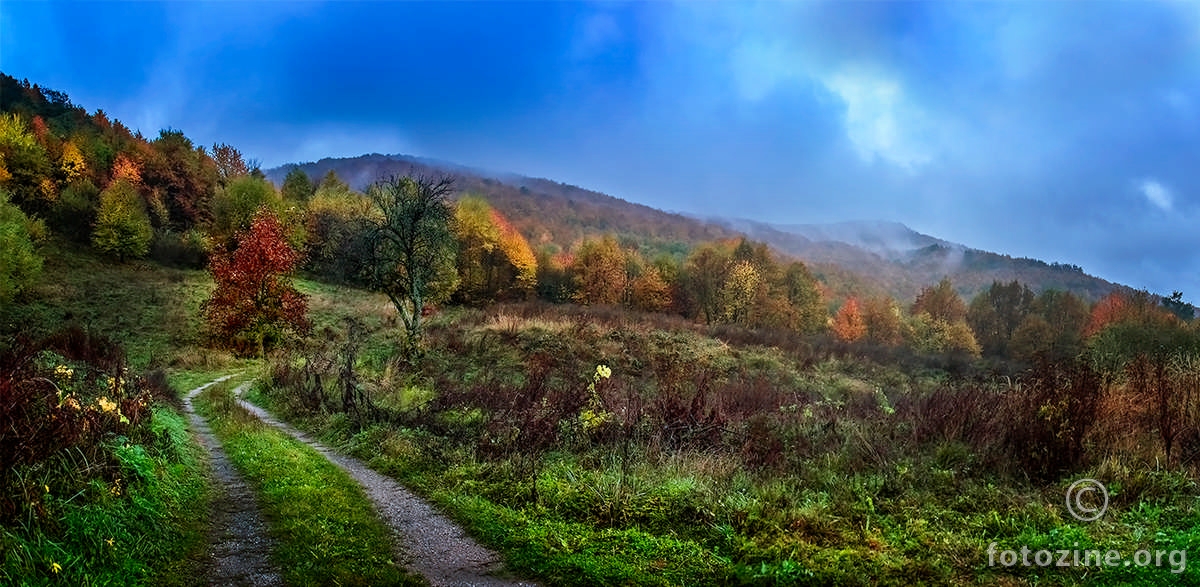 Autumn colors ...!