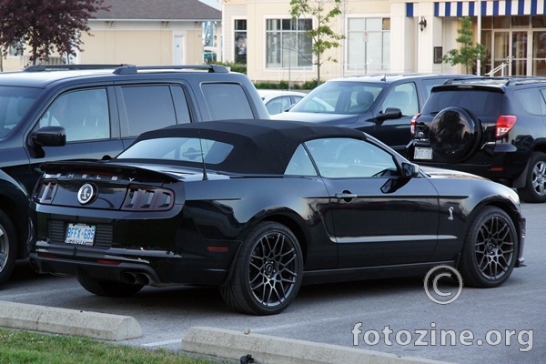 Ford Mustang Shelby