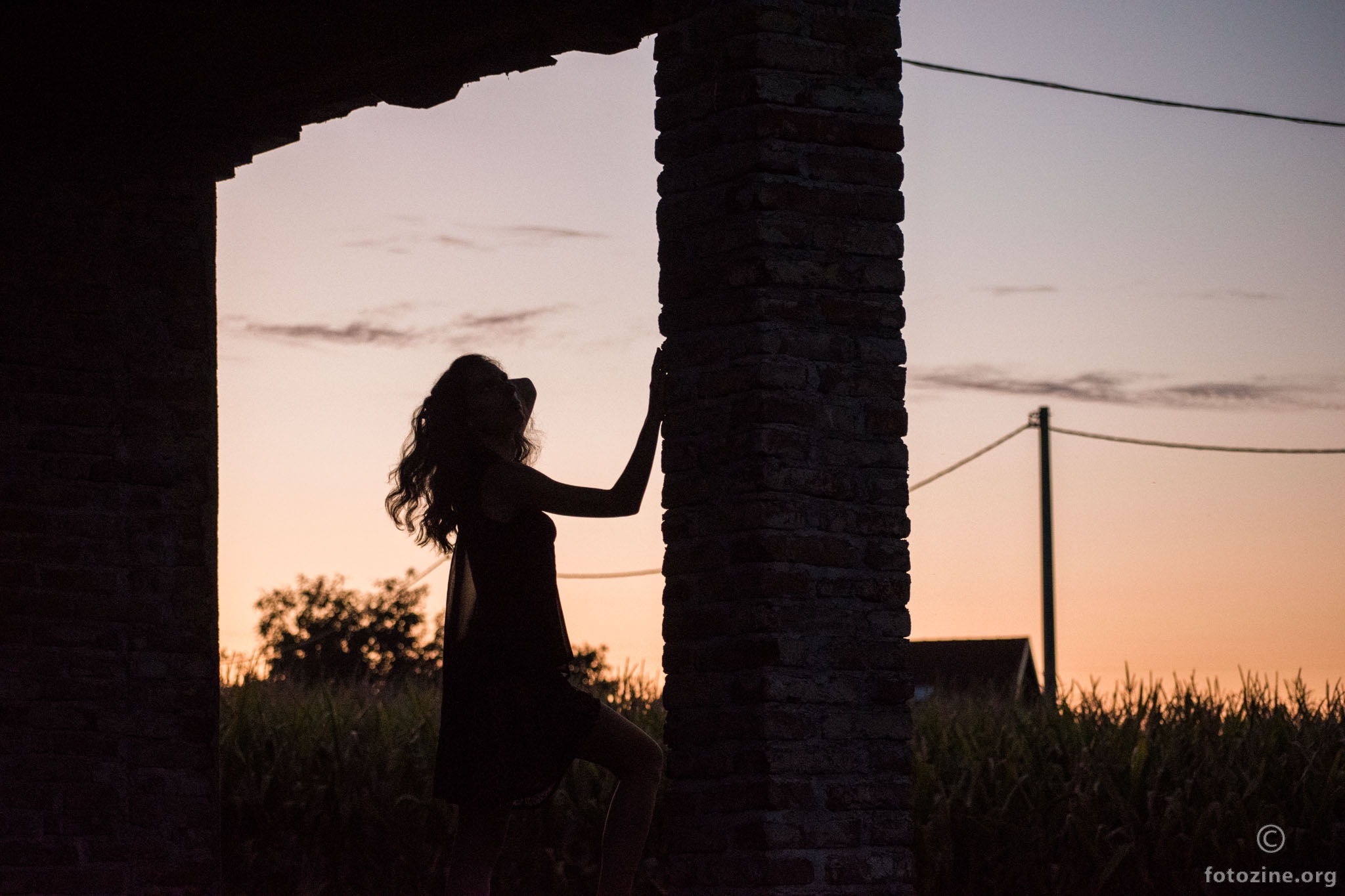 Sunset Silhouette