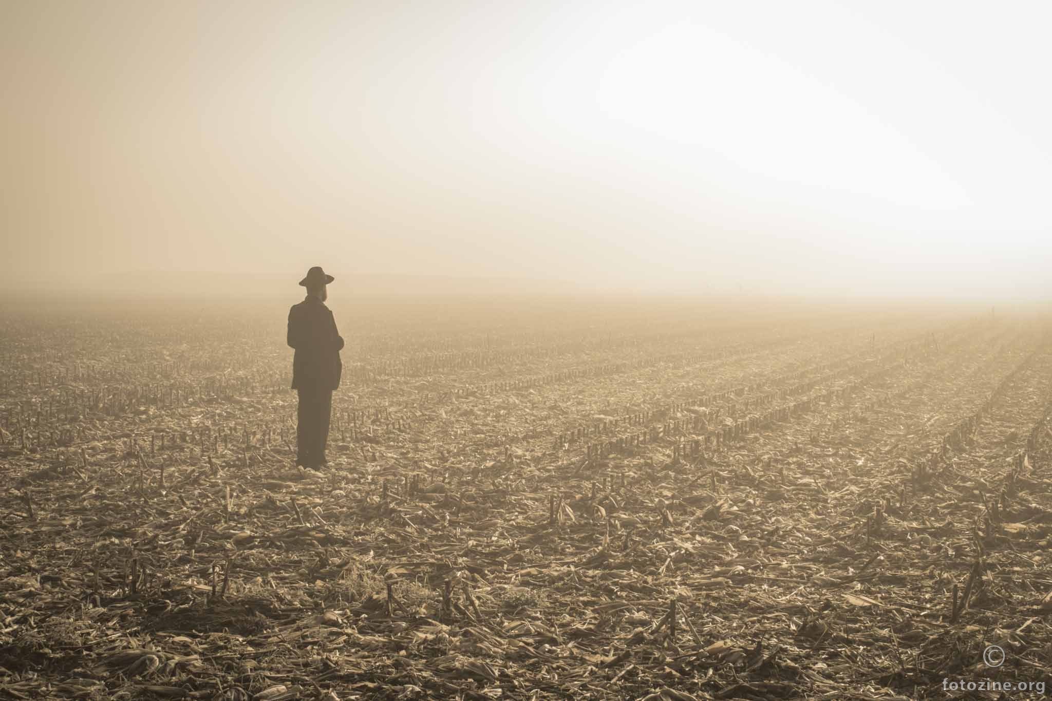 Remains of a Harvested Crop Field