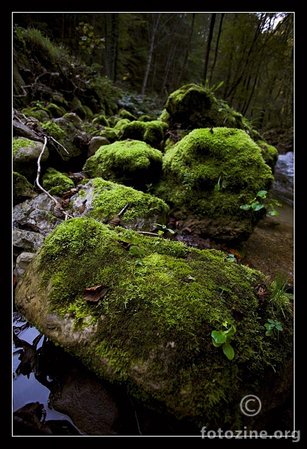 green steps