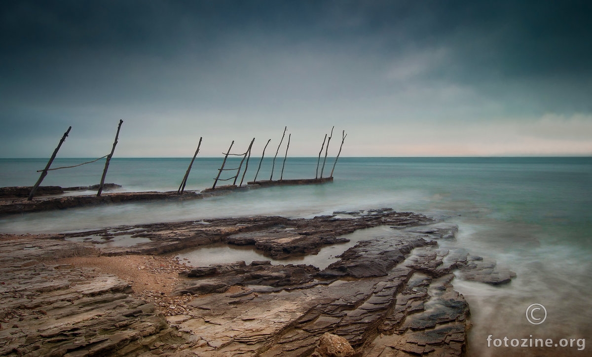 Bašanija 16.2.2016.