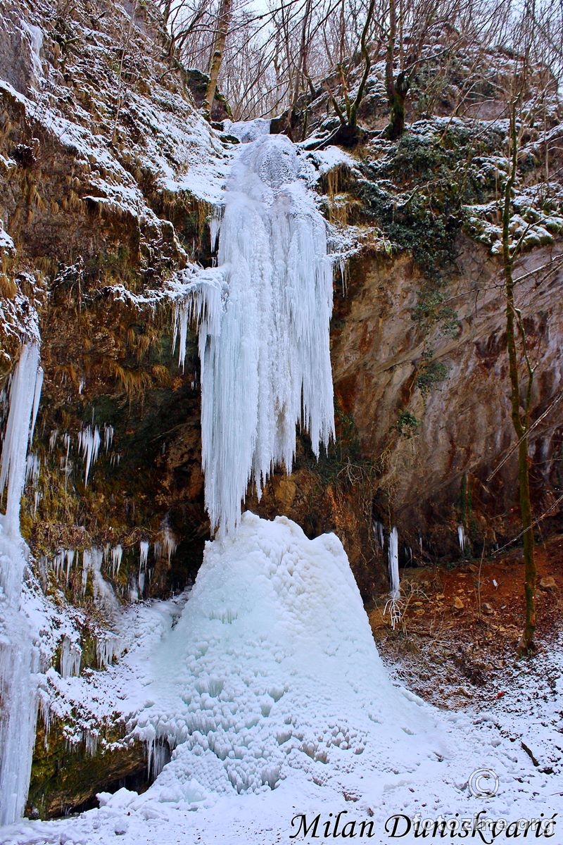 Slapnica