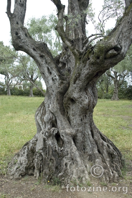 Park oko rodne kuce Renoira u Cagnes-sur-Meru.