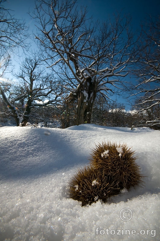 Ljubav se ne da sakriti