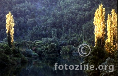 CETINA