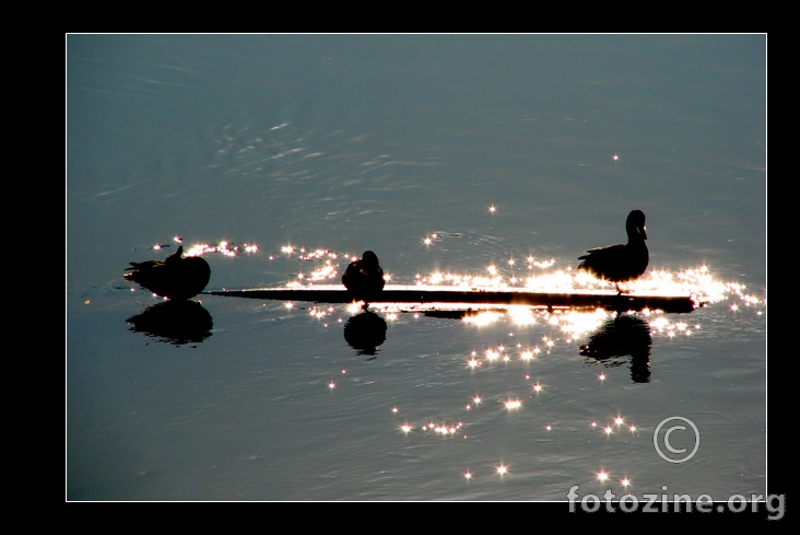 river magic