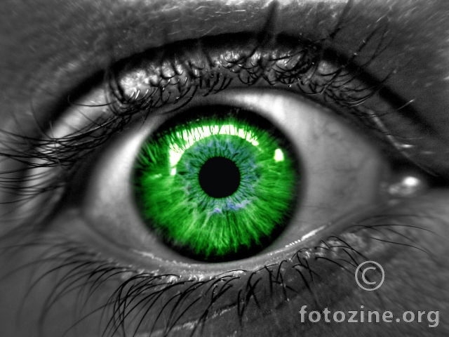 GreenPupil