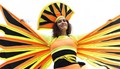 Leptirica pozi…