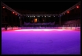 ARENA ICE FEVE…