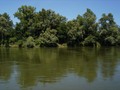 Drava II