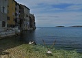 Rovinj