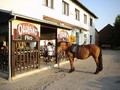 zagorje cowboys