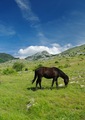 Velebit - Malo…