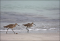 Beach walk