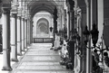 mirogoj04