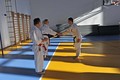 karate seminar