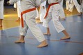 karate seminar