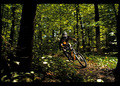 singletrack ri…