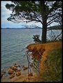 Hoće ili neće.&hellip;