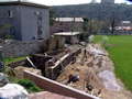 DSC00890 - foto