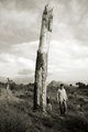 stablo nasred …