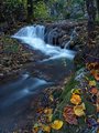 Autumn Colors