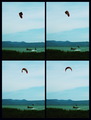 Kite Surfer u …