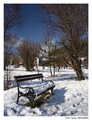 Winter Bench