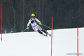 hakler Hirscher