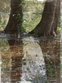 Refleksije __