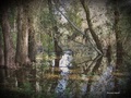 Refleksije i p&hellip;