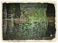Refleksije .)