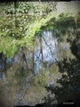 Refleksija :)