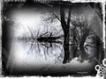 S refleksijom
