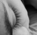 eyelash