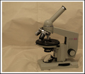 Mikroskopom u …