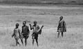 masai warriors